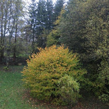 Auszeit Appartamento Gummersbach Esterno foto