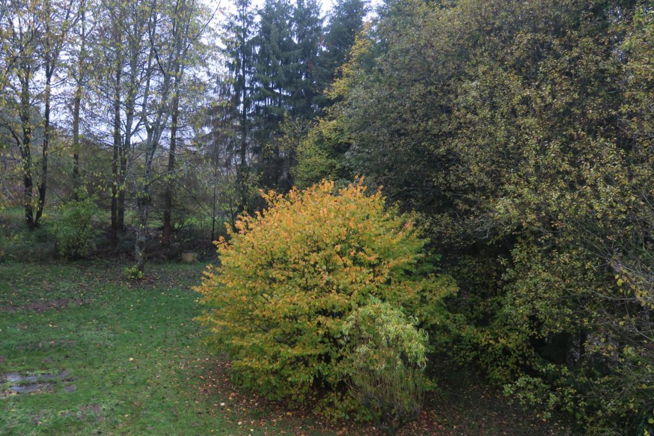 Auszeit Appartamento Gummersbach Esterno foto